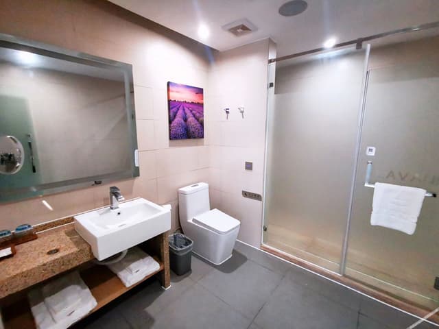Business Double Room
