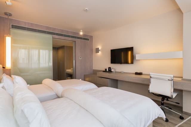 Elegant Twin Room