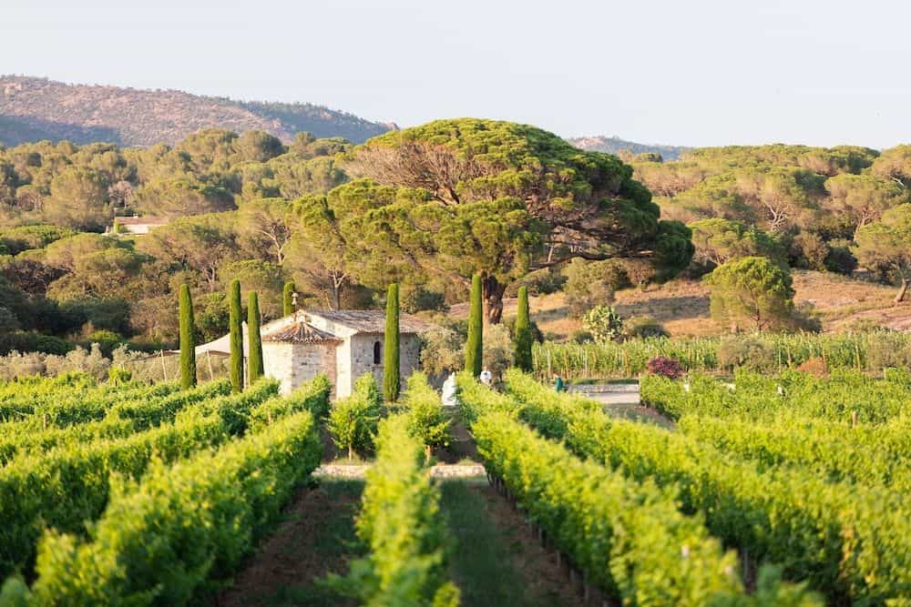 LA BASTIDE DU CLOS DES ROSES LA BASTIDE DU CLOS DES ROSES
