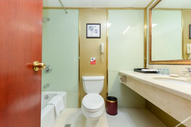 Superior 2-bed Room