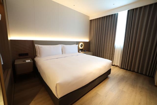 Standard Room, 1 King Bed, Accessible