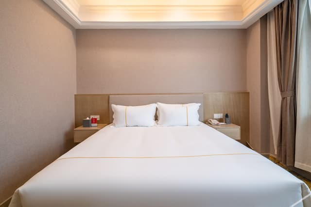 Delightful Deluxe Suite (Sharp Air Purifier, Mini Fridge)