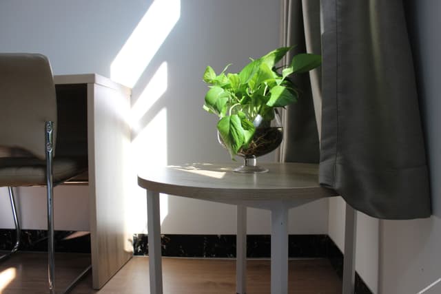 Deluxe Room (2 beds)