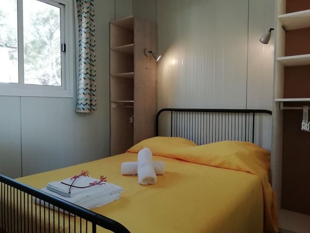 Premium Lodge