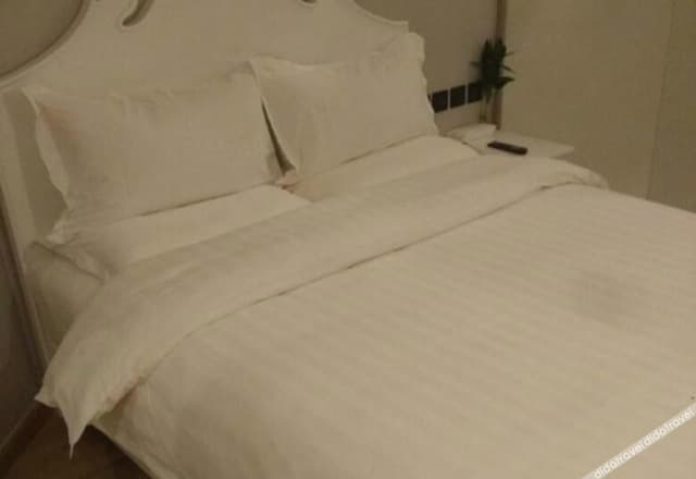 Standard Single Room (No window)