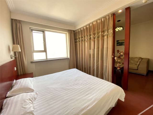 Deluxe Business Suite