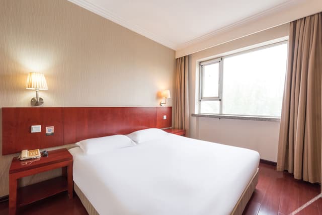 Deluxe Business Suite