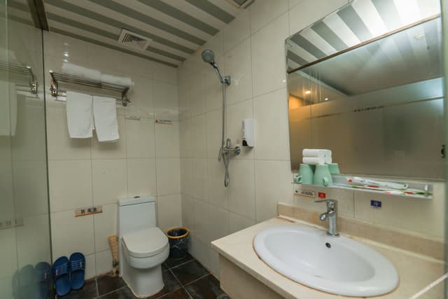 Business Triple Room