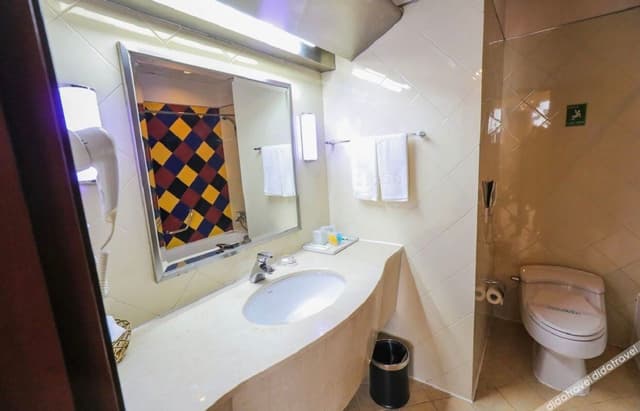 Standard Suite