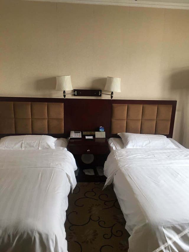 Standard Twin Suite