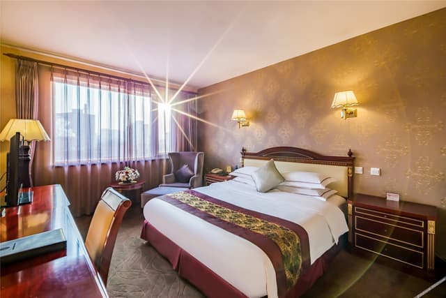 Executive Suite
