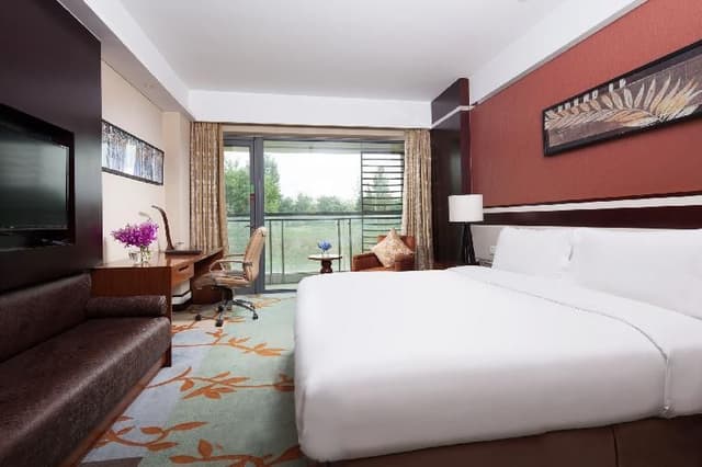 Premium Room
