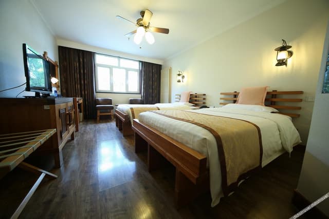 Deluxe Standard Room