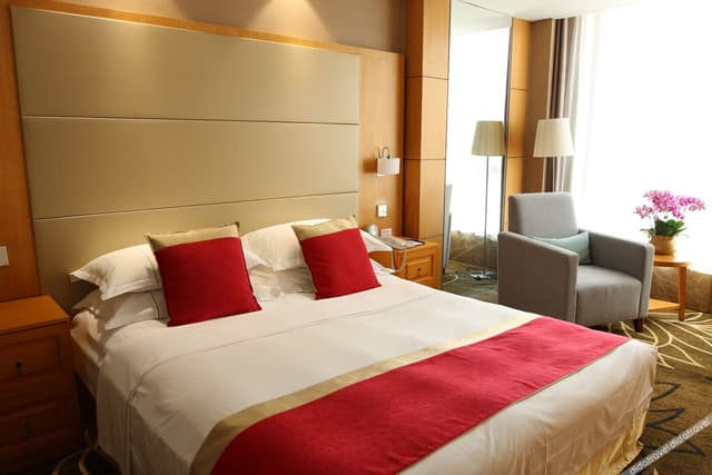 VIP Building Executive Single Room