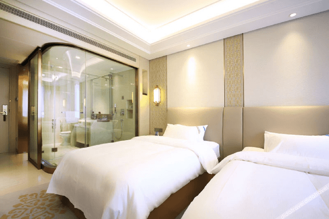 Executive Standard Room