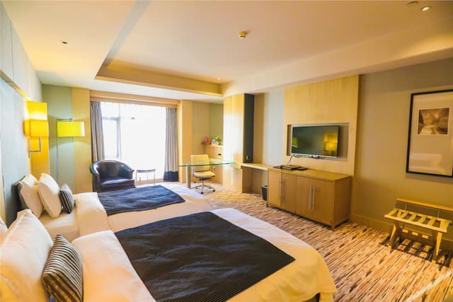 Superior Deluxe Room (2 beds)