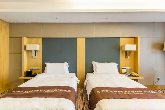 Superior Deluxe Room (2 beds)