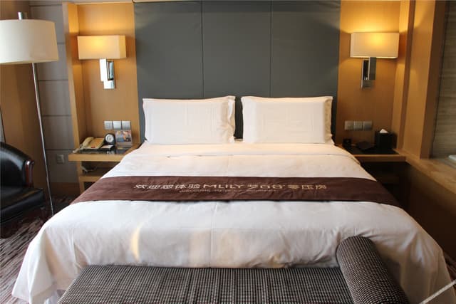 Superior Deluxe Room (Double bed)