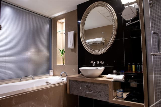 Business Standard Room (twin)