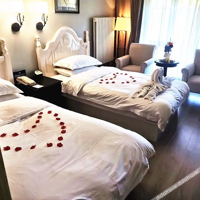 Standard Mountain-view Room