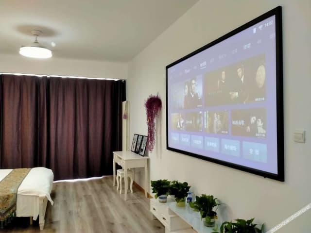 European Deluxe Projector Room