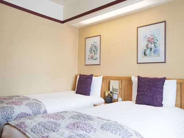 Standard Room, 2 Twin Beds, Non Smoking
