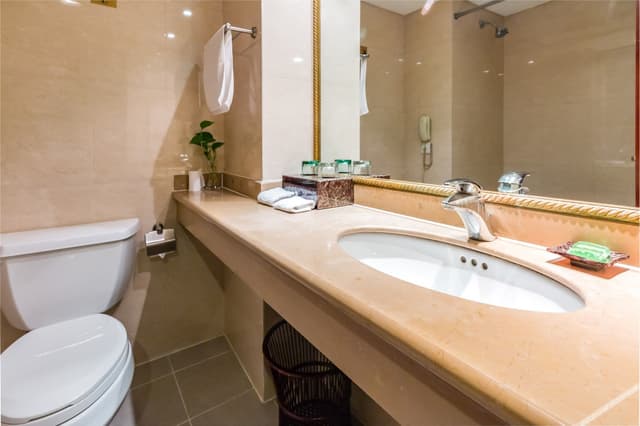 Business Queen Room