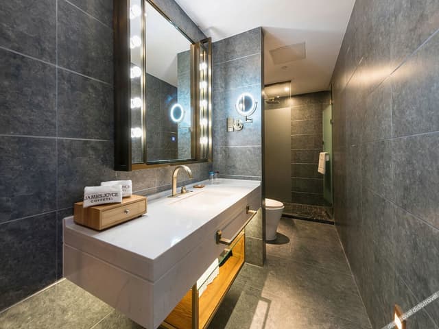 Exceptional Audio-Visual Double Bed Room
