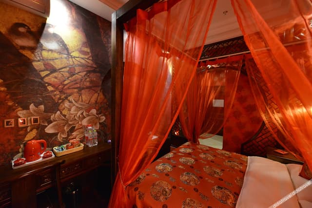 Deluxe Themed Queen Room