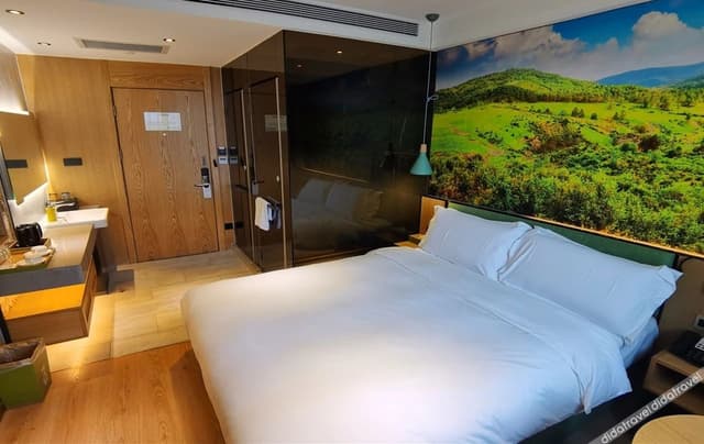 Superior Queen Room