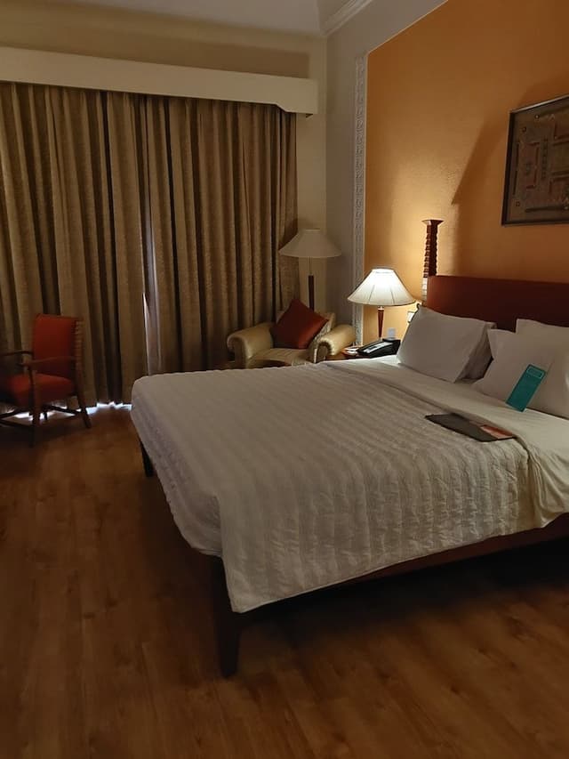 Room, 1 King Bed
