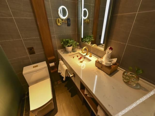 Grand Romantic Wine Double Bed Room