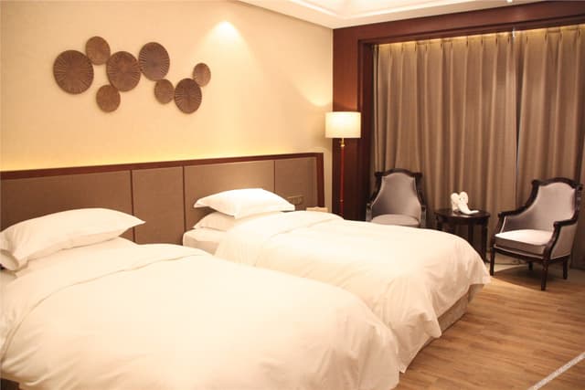 Business twin room