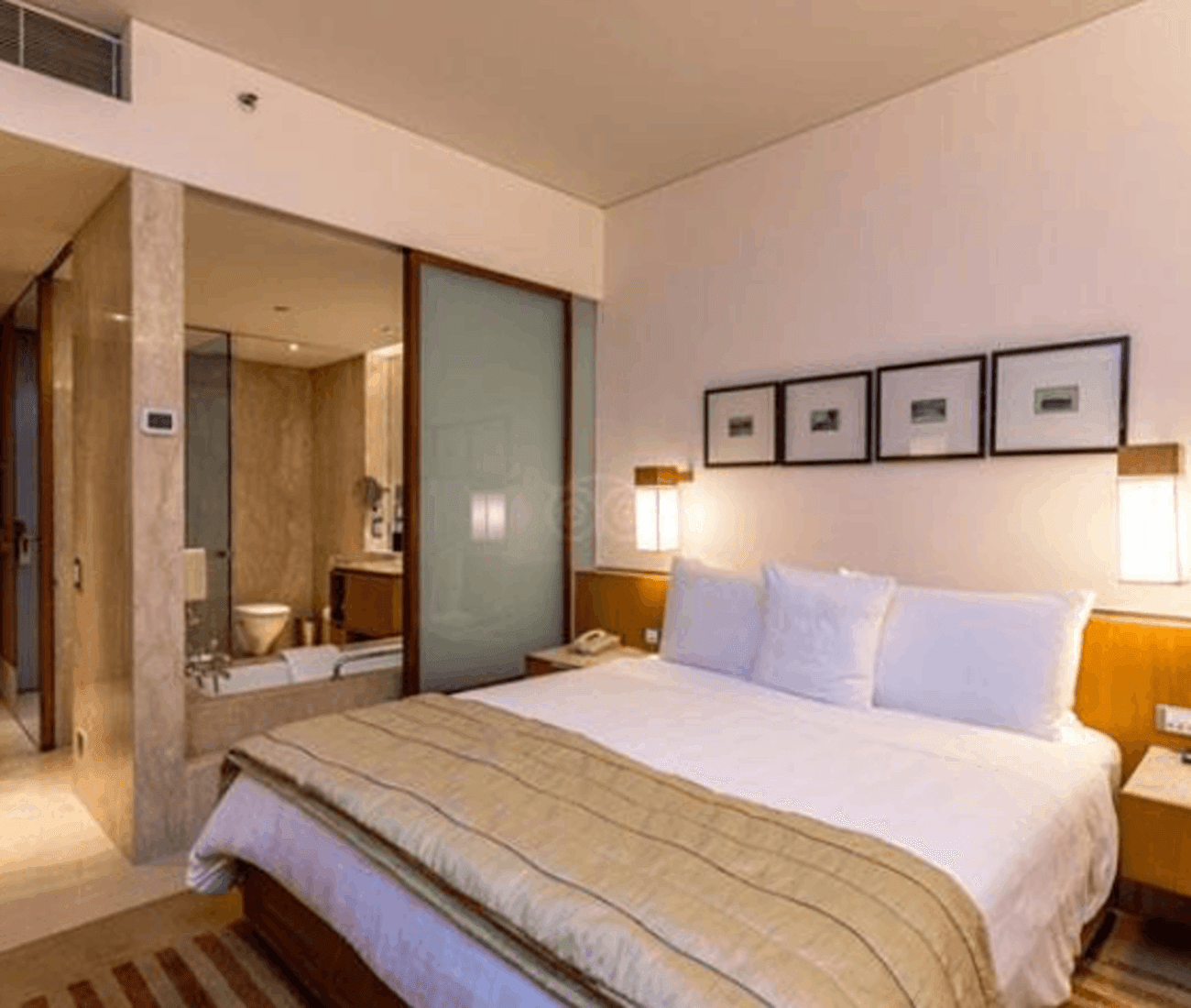 Hotel PLAZA International near Delhi airport3