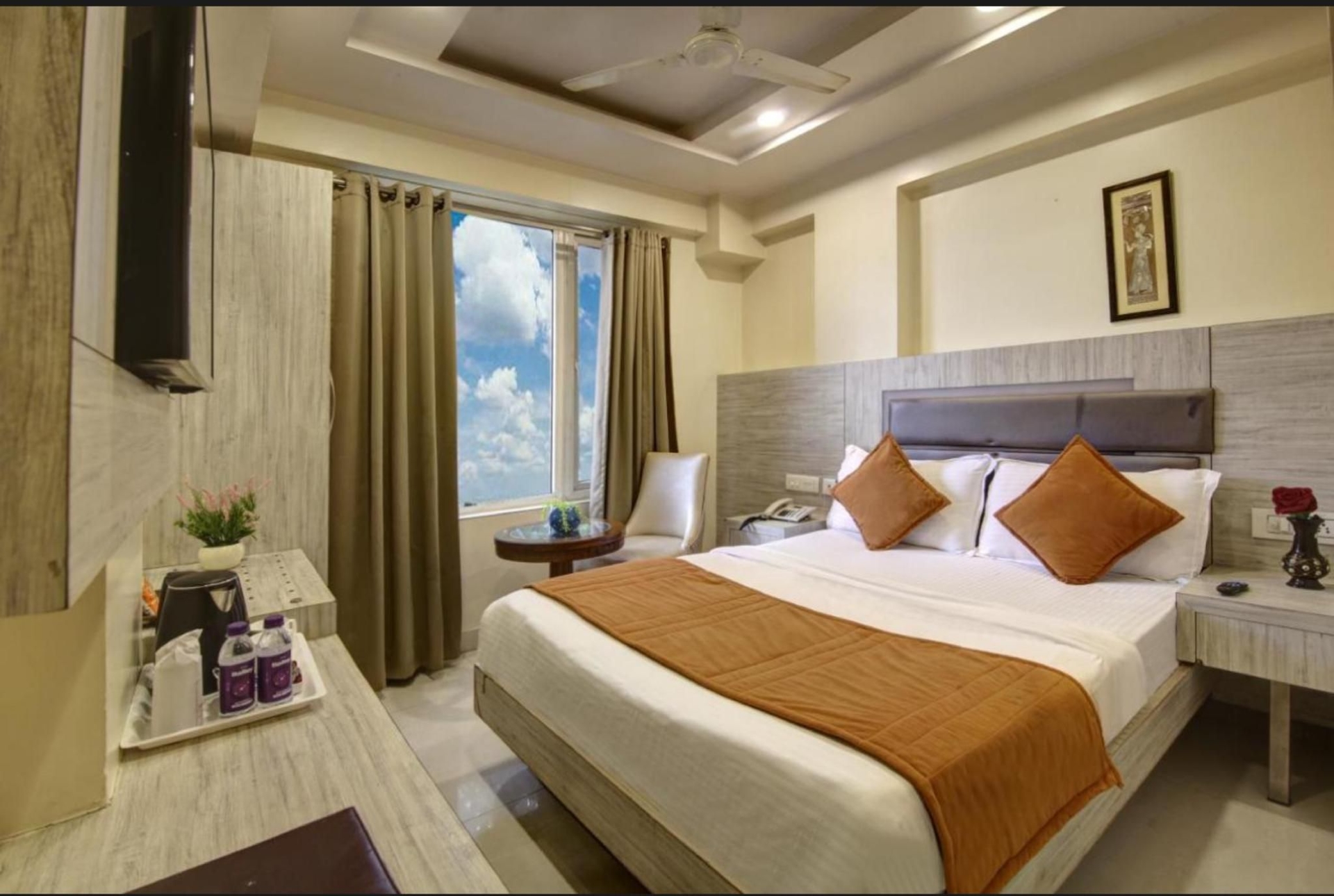 โรงแรม ชานติ พลาซ่า ใกล้เดินจากนิวเดลี (Hotel Shanti Plaza Walking From New Delhi)4