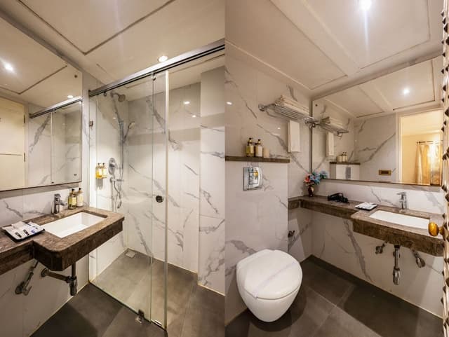 Deluxe Suite, City View