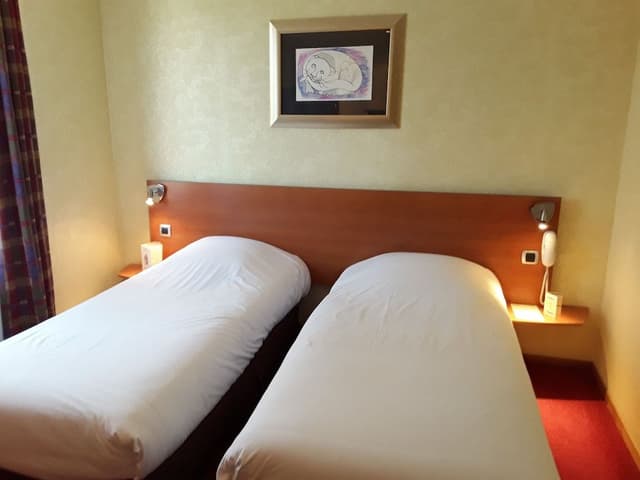 Double or Twin Room