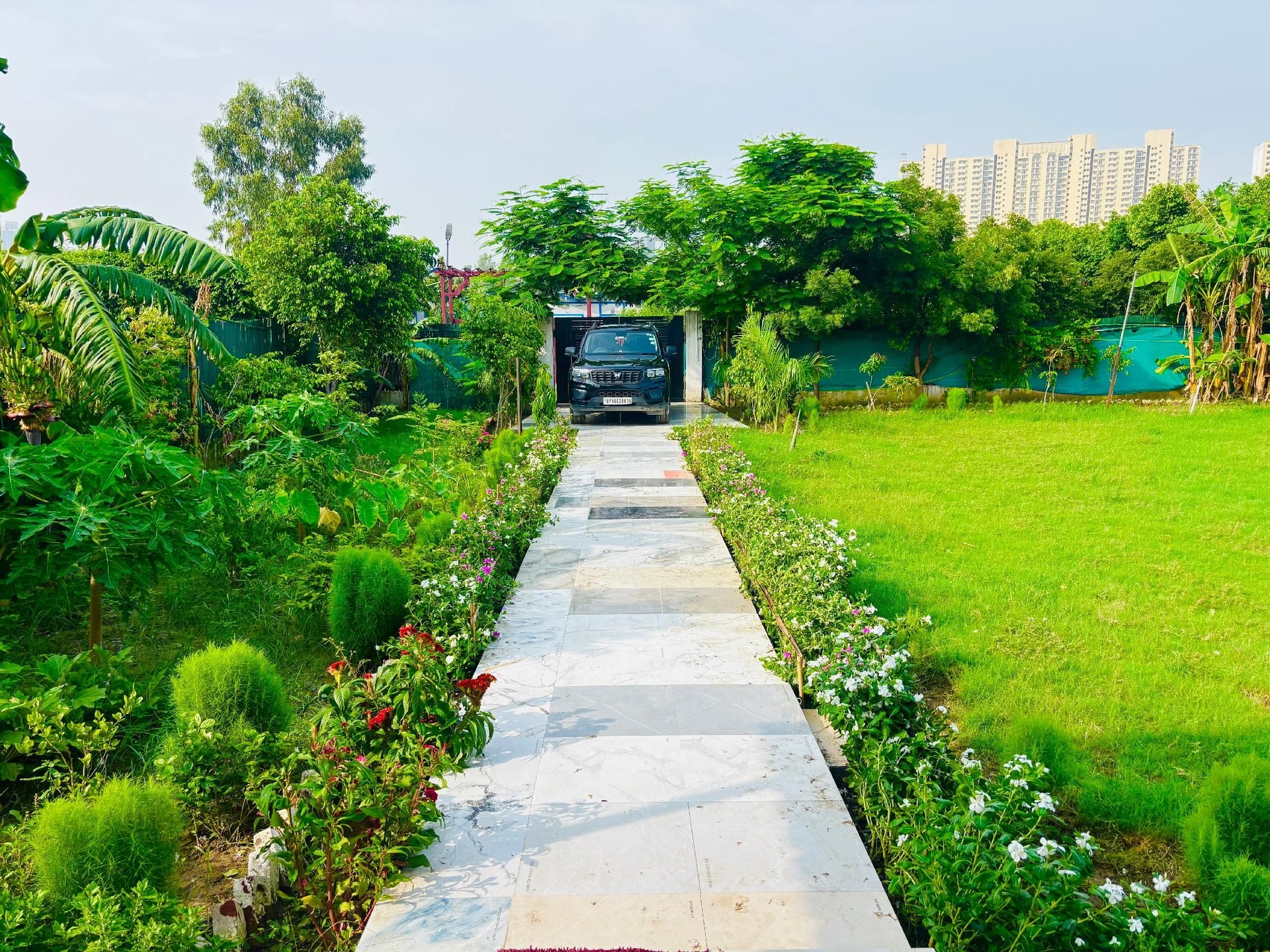Deo Farms3