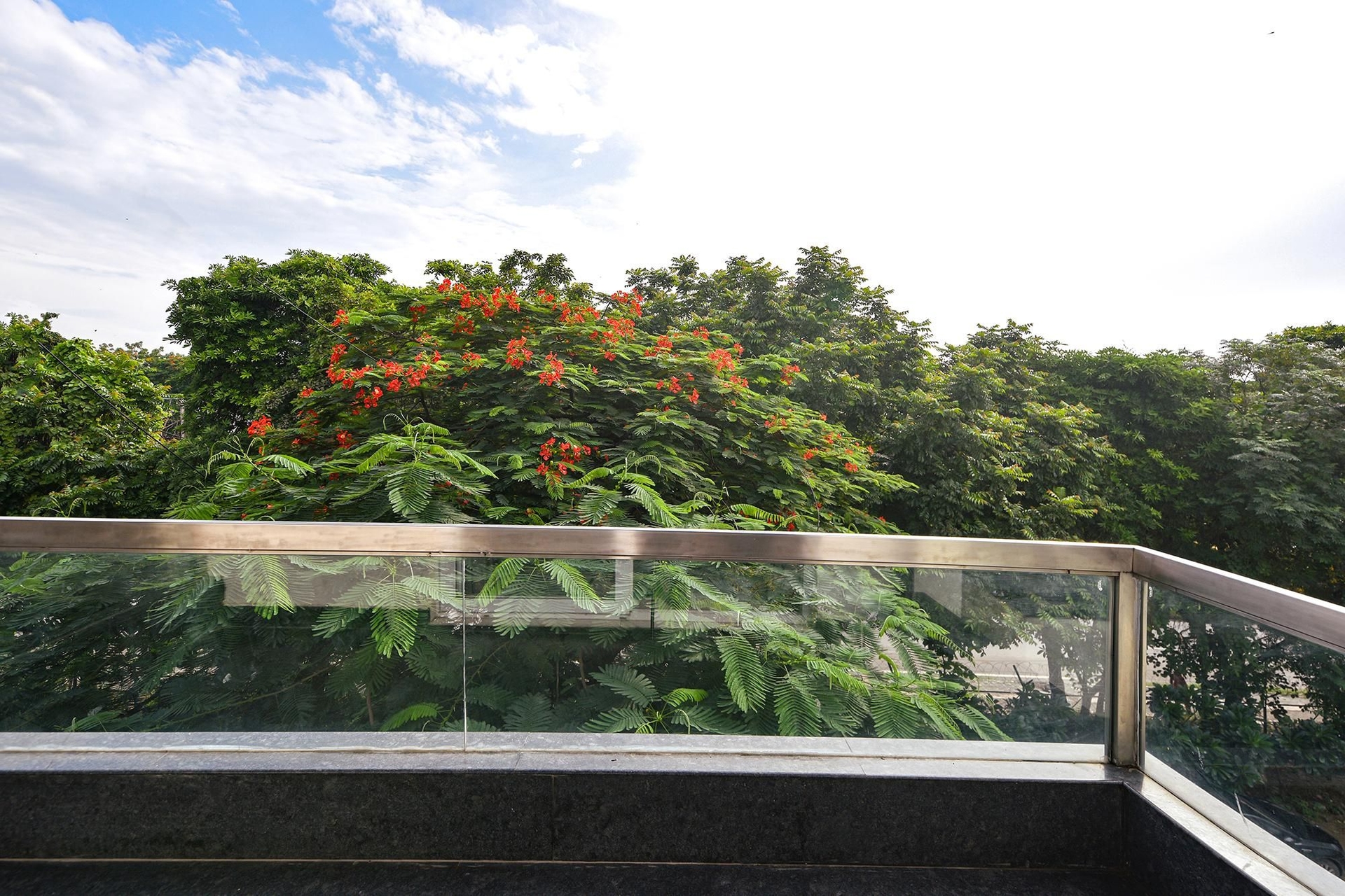 แฟบโฮเทล แดฟโฟดิลส์ (FabHotel Daffodils)1