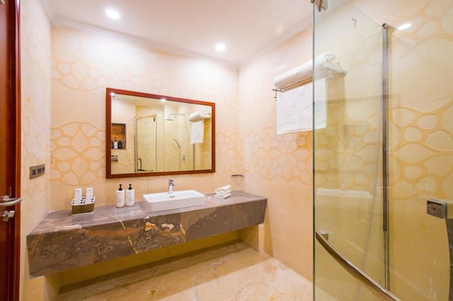 Premium City View Room
