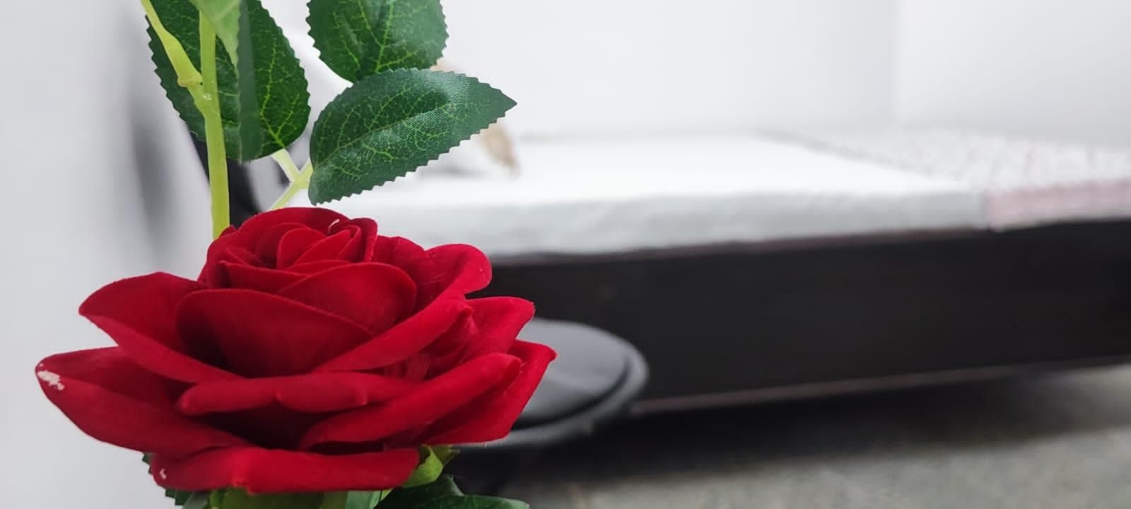 อพาร์ตเมนต์ 2 ห้องนอน 1 ห้องน้ำส่วนตัว ขนาด 100 ตร.ม. – ชานเมือง (Home stay in gurugram nearby madanta hospital)3