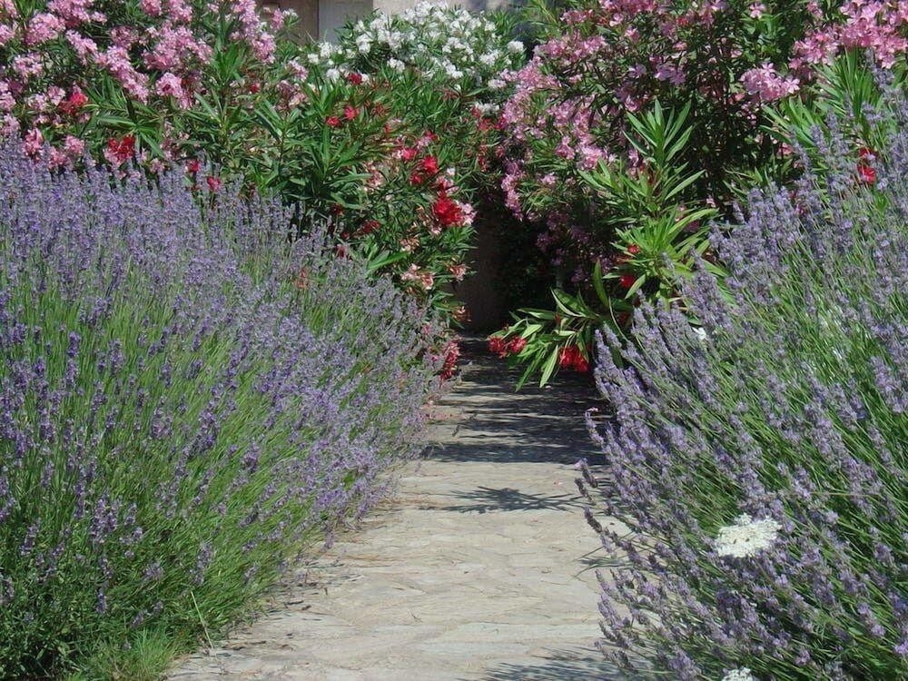 Residence Fiori Di Cala Rossa2