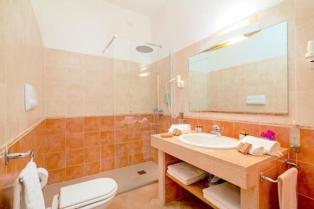 Junior Suite, Park View