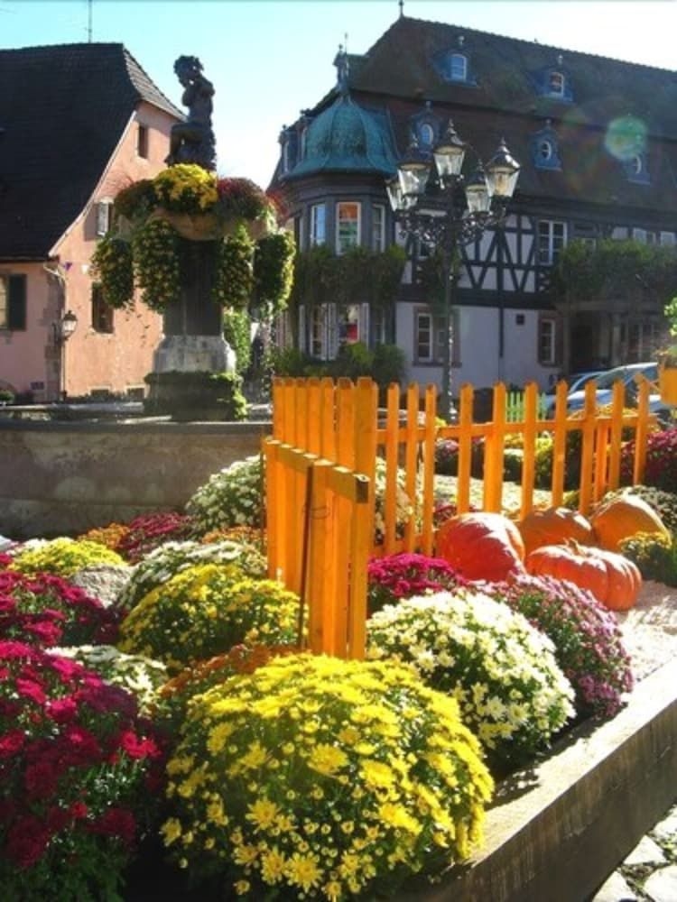 Hotel Le Manoir1