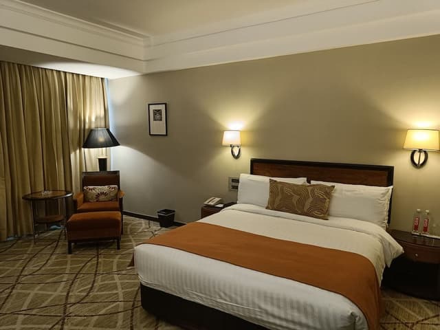Deluxe Suite, 1 Double Bed