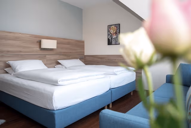 Executive Double or Twin Room, 1 Bedroom (Executive)