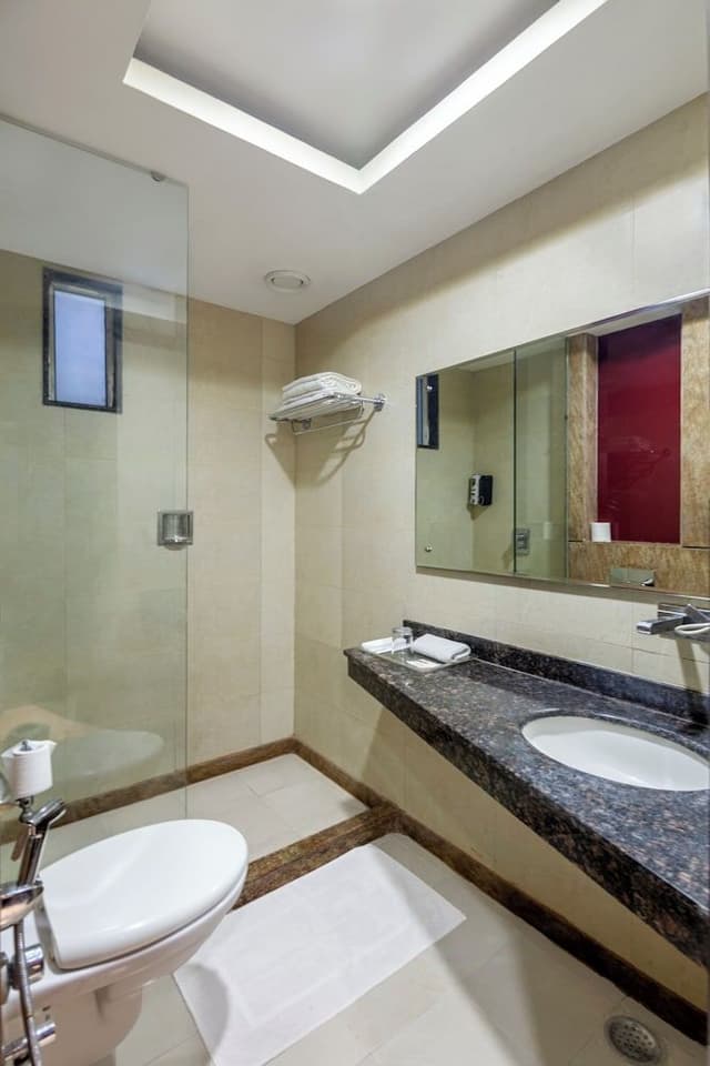 Deluxe Double or Twin Room, City View