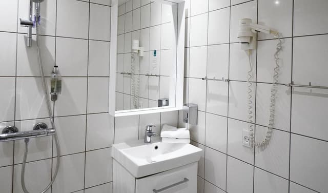 Standard Quadruple Room, Private Bathroom (2 Twin Beds and 2 Sofa Beds)