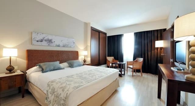 SUITE STANDARD