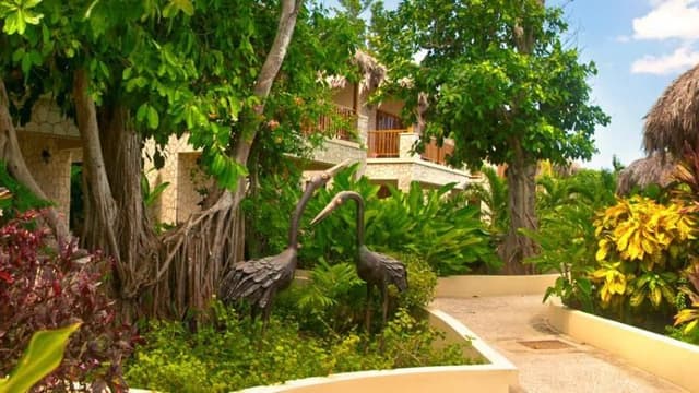HOUSE GARDEN VIEW